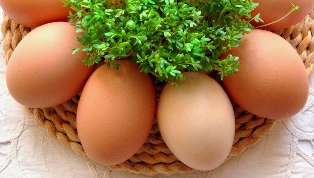 10 faktów o jajkach. Kliknij!