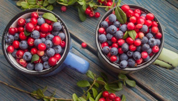 Dlaczego warto jeść jagody?