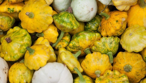 Patison - niedoceniany przysmak