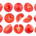 Pomidorkowakuchania