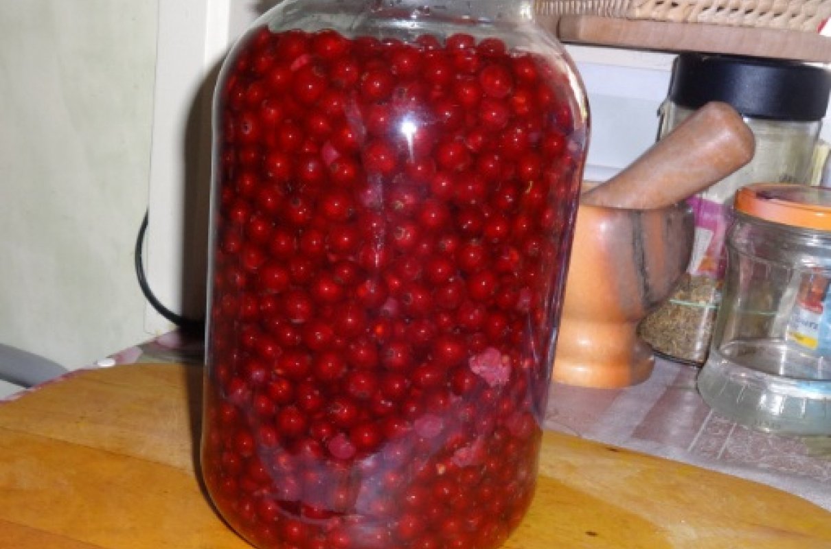 Kompot z czerwonej porzeczki.