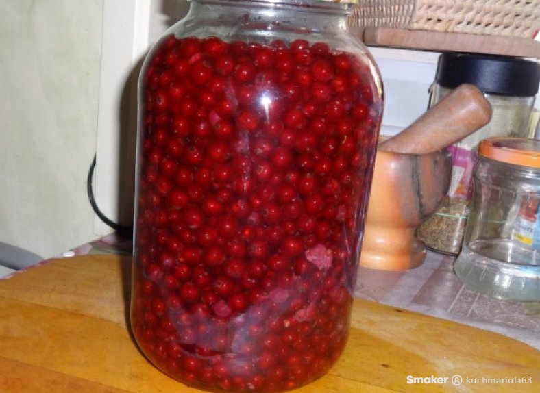  Kompot z czerwonej porzeczki 