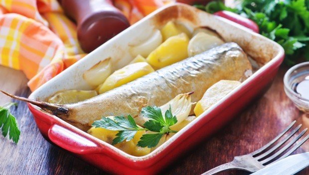 Czego nie wiemy o rybach?