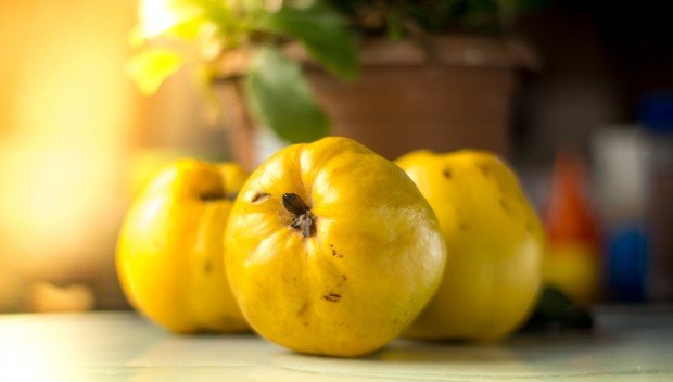 Pigwa na dziewięć sposobów