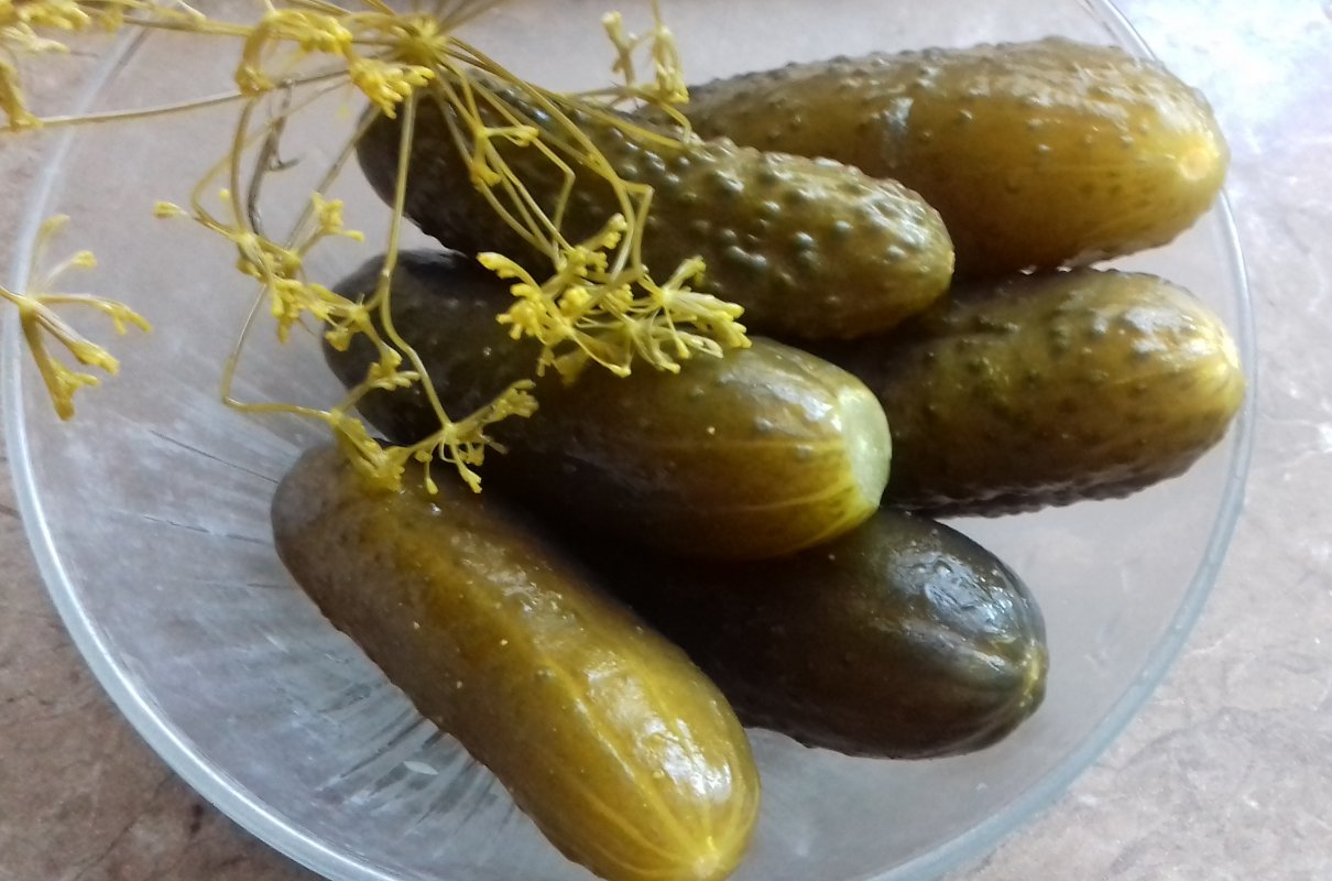 Ogórki kiszone