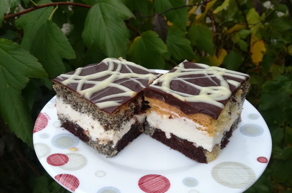 Ciasto "Popapraniec" z kremem jogurtowym