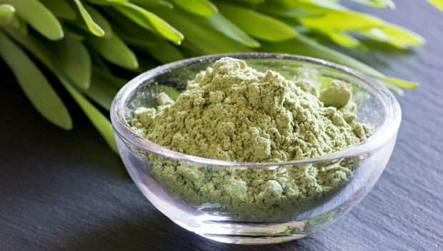 Zielony jęczmień - jakie są jego właściwości?