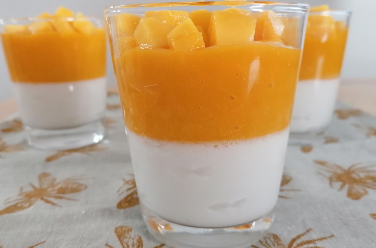 kokosowa panna cotta z galaretką mango