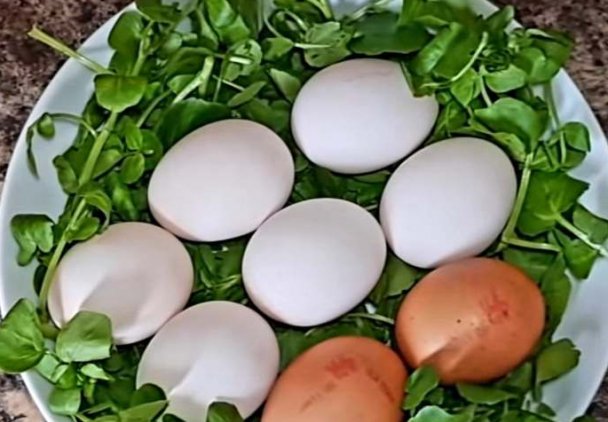 Jak zmienić kolor jajek z brązowych na białe, aby prygotowac je do malowania.