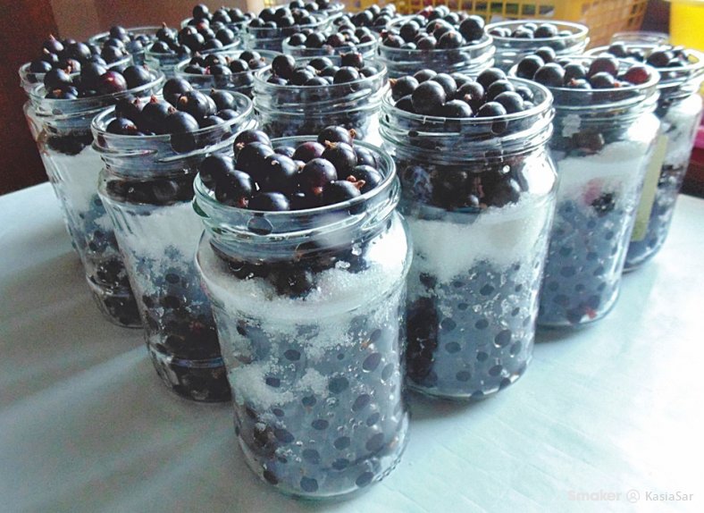  Czarne porzeczki w cukrze na przeziębienie 