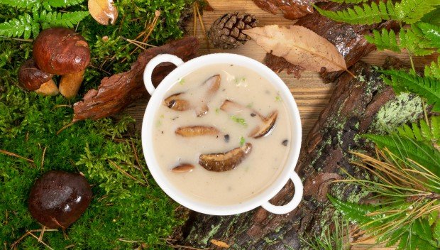 Podgrzybki - jak je znaleźć i co z nich zrobić?