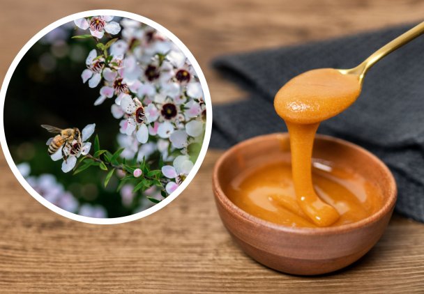 Na zgagę, przeziębienie i dla urody. Co to jest miód manuka?