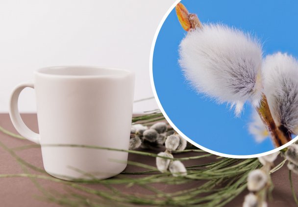 Mleko baziowe regularnie piły nasze babcie. Ma skład lepszy niż aspiryna!