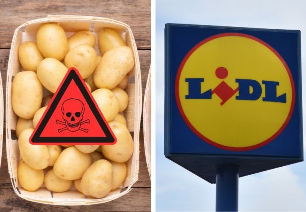 GIS: Nie jedz tych ziemniaków