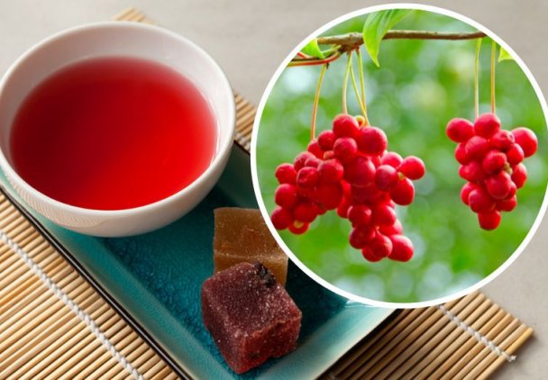 Jagody wiecznej młodości - chronią wątrobę i koją skołatane nerwy. Jak stosować cytryniec chiński i co z niego zrobić?