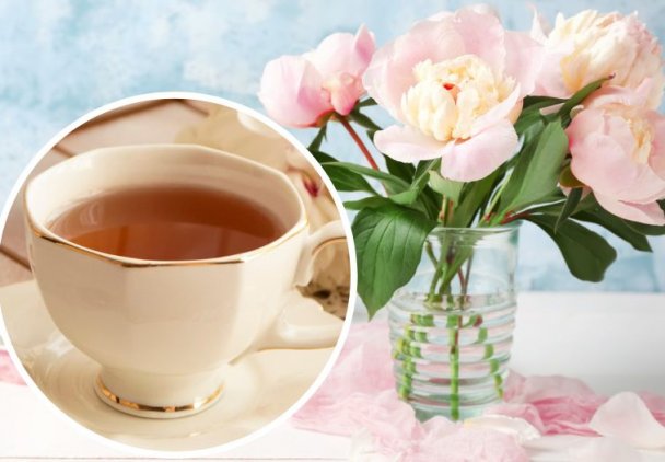 Herbatka z kwiatów działa przeciwalergicznie, a wywar z korzeni pomaga na reumatyzm. Co można zrobić z kwiatów piwonii?