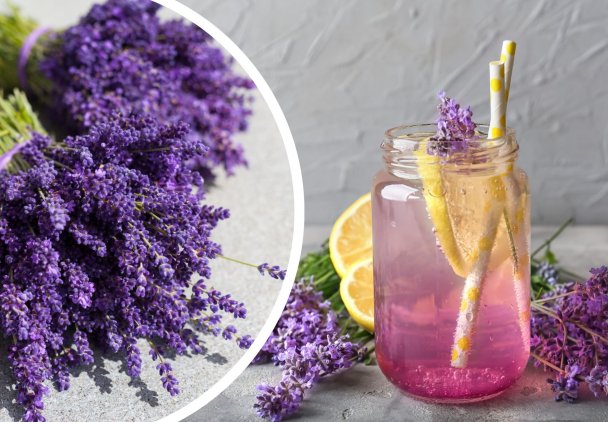 Cukier, lemoniada, lody, syrop. Co można zrobić z lawendy?