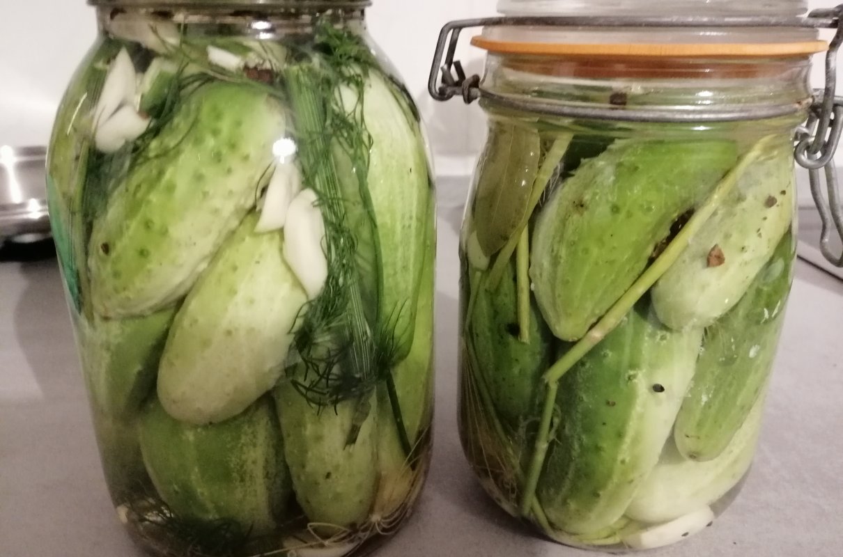 Jak zrobić najlepsze kiszone ogórki