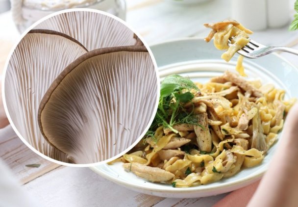 Zawierają dużo potasu i żelaza, obniżają wysoki cholesterol. Co zrobić z boczniaków - oryginalne przepisy