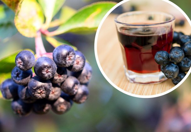 Boczki zaczynają znikać, a jelita wreszcie dobrze pracują. Jak przygotować herbatę z aronii?