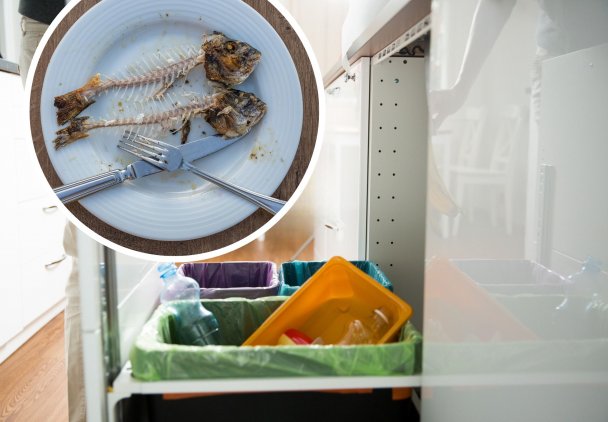 Gdzie wyrzucać ryby i resztki ryb?