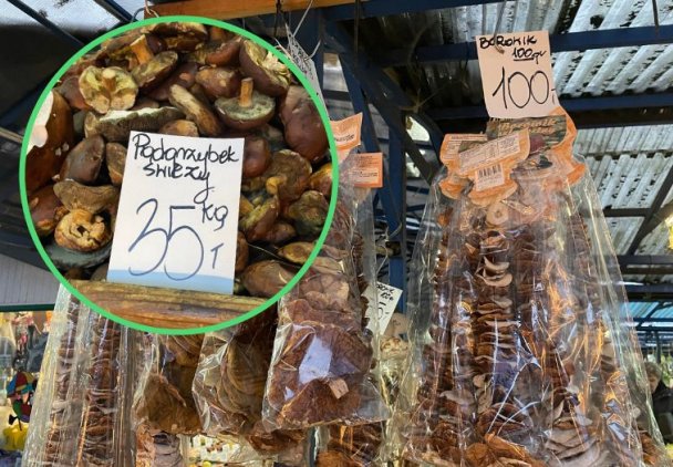 Świeże są w przyzwoitych cenach, za suszone trzeba zapłacić krocie. Na grzybach można zrobić złoty interes