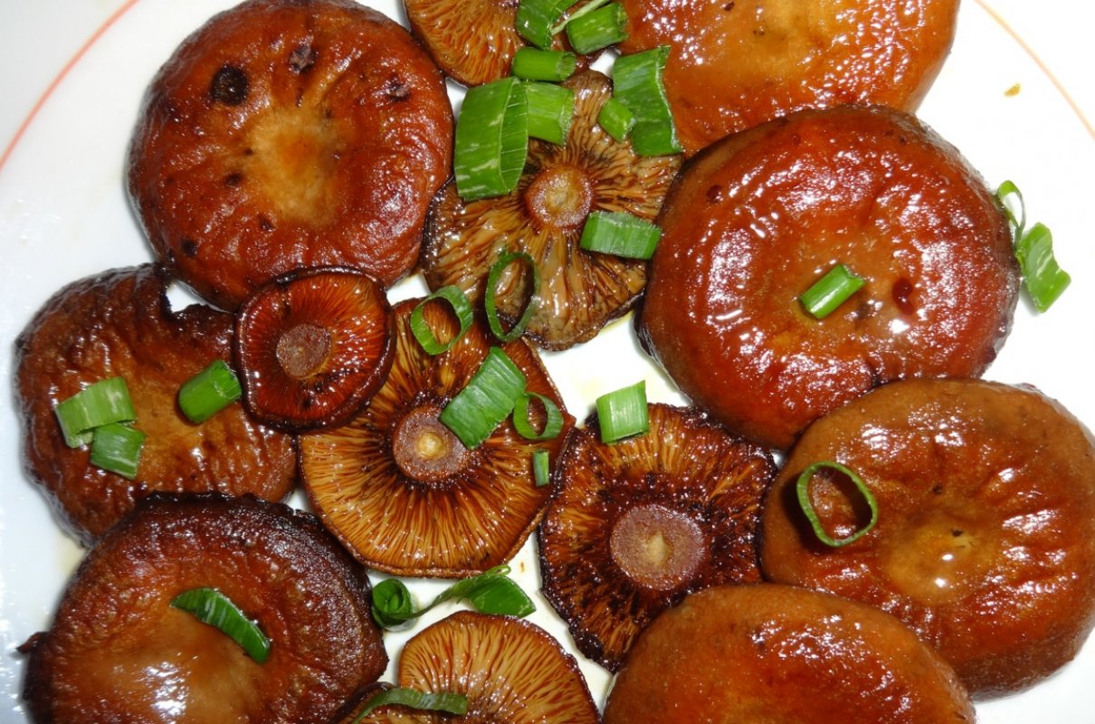 Smażone rydze.