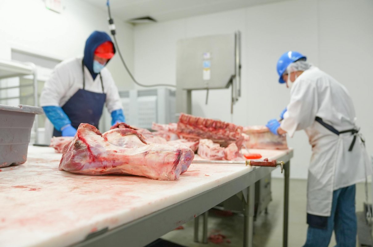 Na co zwracać uwagę wybierając maszynkę do mięsa?