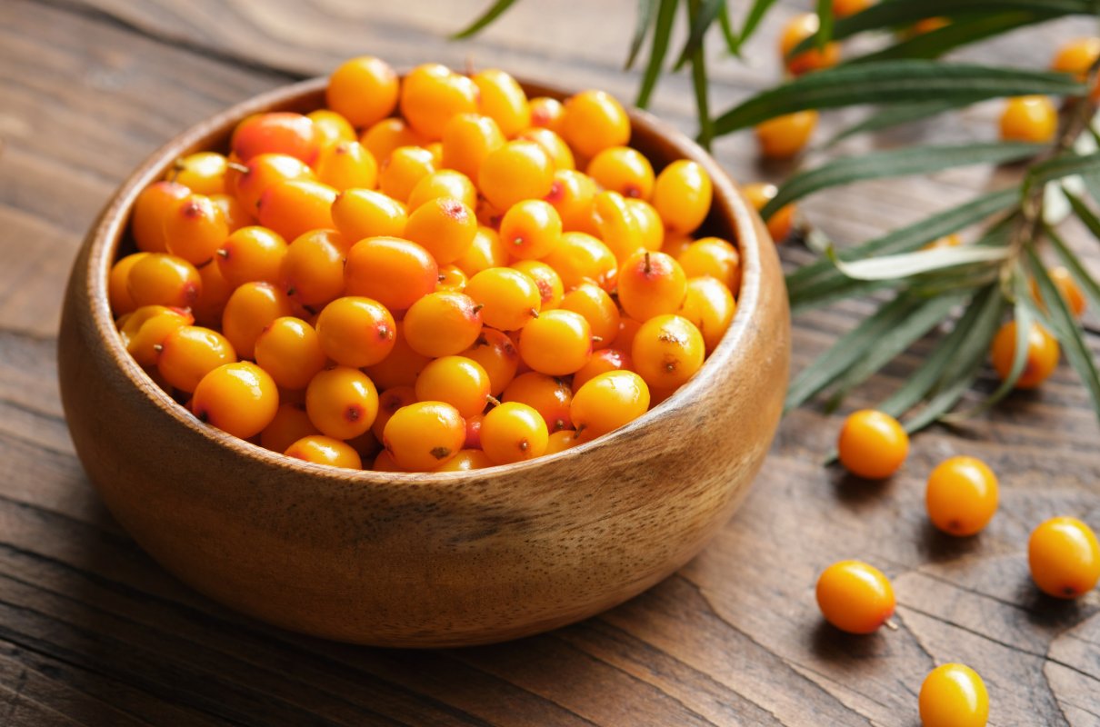 Zrób sok, dżem, możesz też ususzyć jego owoce. Budują odporność, poprawiają krążenie i pracę mózgu