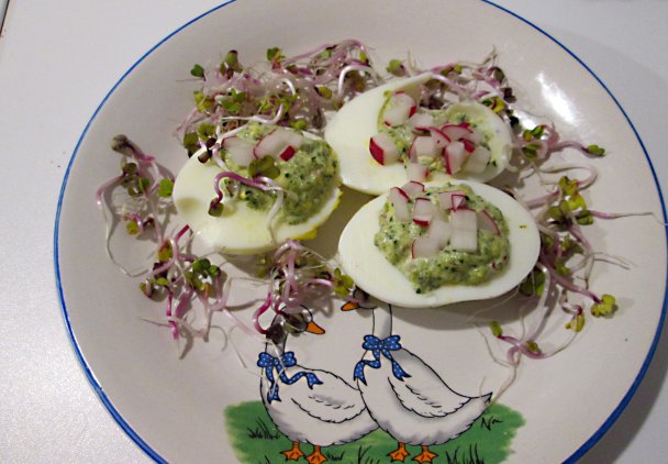 Jaja świąteczne nadziewane szpinakiem