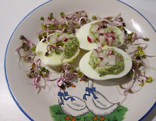 Jaja świąteczne nadziewane szpinakiem