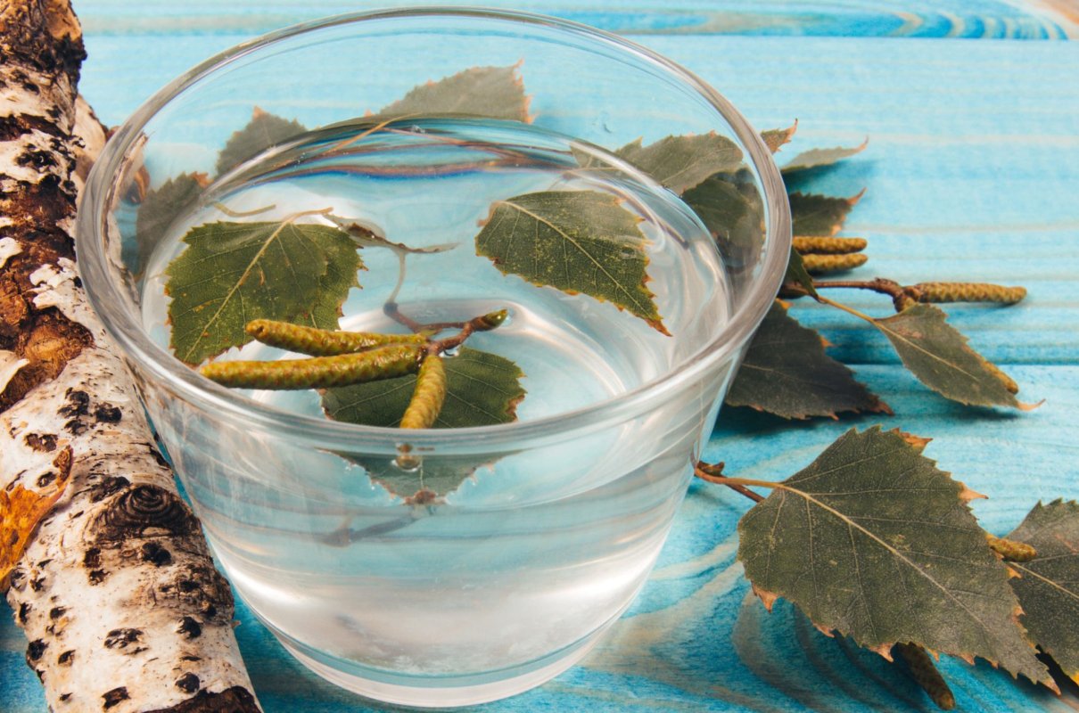 Pierwszy polski superfood. Sok z brzozy czyści organizm jak nic innego