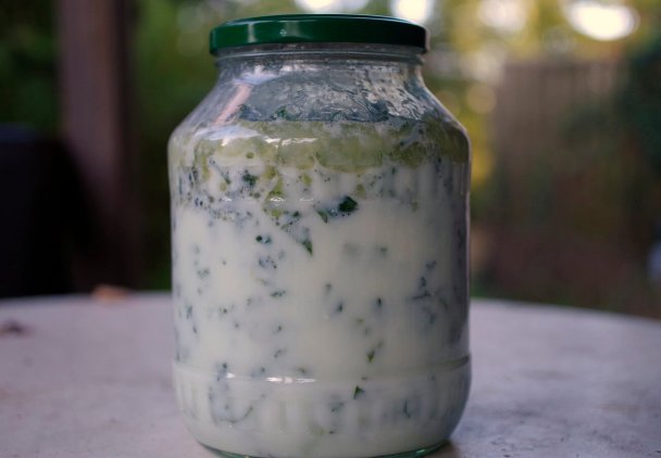 Jarmuż kiszony w kefirze