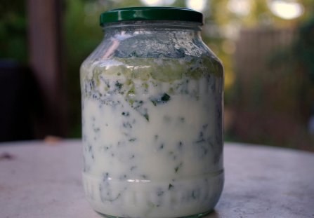 Jarmuż kiszony w kefirze