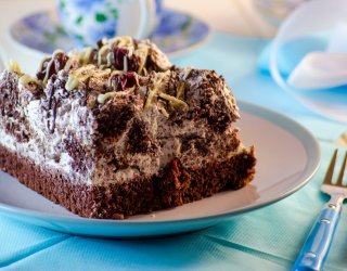 Ciasto Dalamatyńczyk