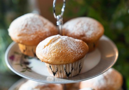 Muffinki cytrynowe na jogurcie według Ewy Wachowicz