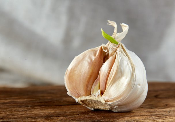 Czosnek z zielonym kiełkiem - wyrzucić czy zjeść? Odpowiedź naukowców zaskakuje