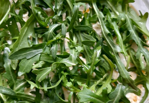 Warstwowa sałatka "pod zieloną kołderką