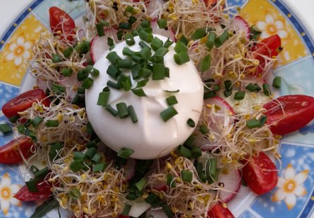 Burata w bukiecie warzyw