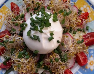 Burata w bukiecie warzyw