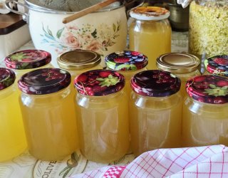 Syrop z kwiatów hyćki-czarnego bzu