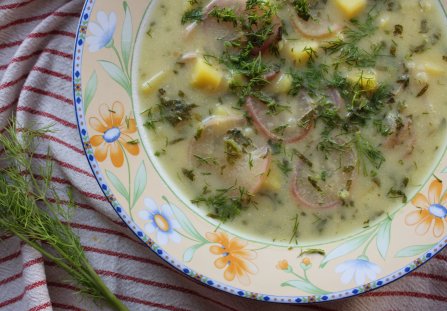 zupa z rzodkiewek