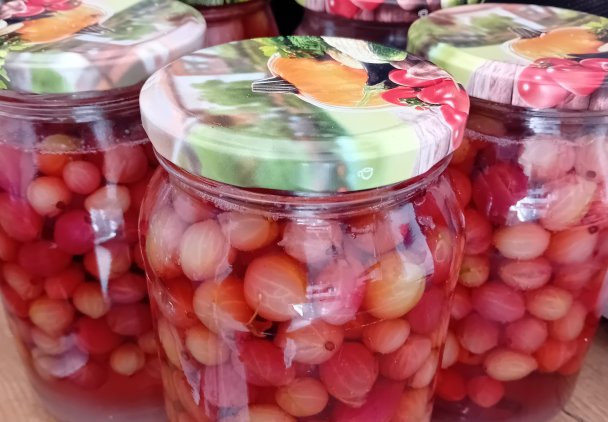 Kompot z agrestu