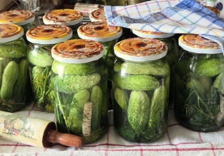 Ogórki śremskie kiszone do spiżarni