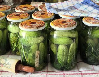 Ogórki śremskie kiszone do spiżarni