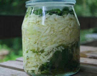 Młoda kapusta małosolna