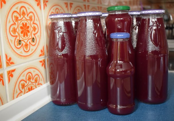 Masz w piwnicy sokownik? Wyjmij go i zrób genialny eliksir z czarnej porzeczki