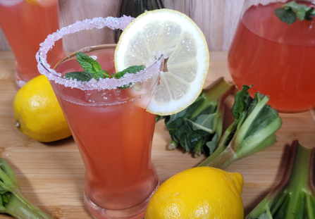 Lemoniada rabarbarowa