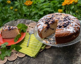 Ciasto jogurtowe z jagodami  według Ewy Wachowicz